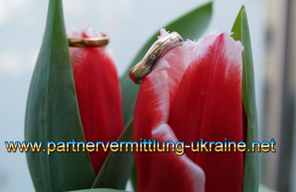 Partnervermittlung ukraine droben